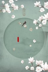 猫咪视频永久有效入口